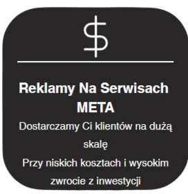 reklamy na serwisach META, czyli na Facebooku i Instagramie dadzą ci przewagę nad konkurencją przy relatywnie niskich kosztach i wysokiemu ROI.